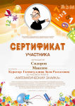 Сертификат участия в  математическом проекте 2016 год